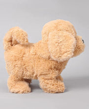 Fuzzbuss Pugs play Qute Paw Pet Dogs  For Little Kids