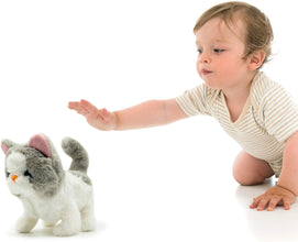 Fuzzbuss Pugs play Qute Cat  For Little Kids