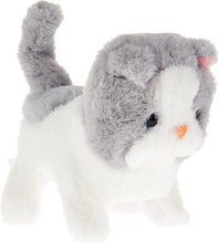 Fuzzbuss Pugs play Qute Cat  For Little Kids