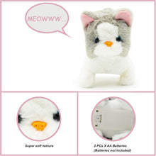 Fuzzbuss Pugs play Qute Cat  For Little Kids