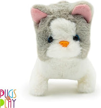 Fuzzbuss Pugs play Qute Cat  For Little Kids