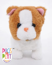 Fuzzbuss Pugs play Qute Cat  For Little Kids