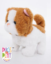 Fuzzbuss Pugs play Qute Cat  For Little Kids