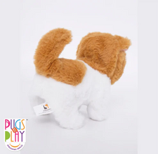 Fuzzbuss Pugs play Qute Cat  For Little Kids