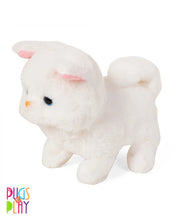 Fuzzbuss Pugs play Qute Cat  For Little Kids