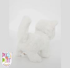 Fuzzbuss Pugs play Qute Cat  For Little Kids