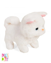 Fuzzbuss Pugs play Qute Cat  For Little Kids