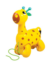 Funskool Giggles Nico the Giraffe Push and Pull Toy