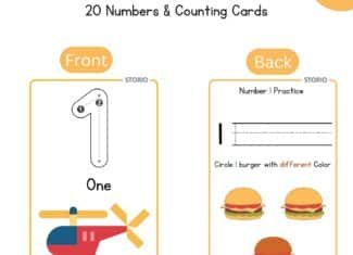 Toyterra Flash Cards for Kids Early Learning | Easy...